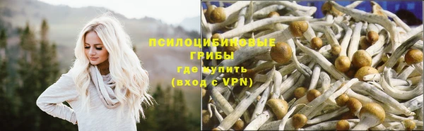 стаф Зерноград