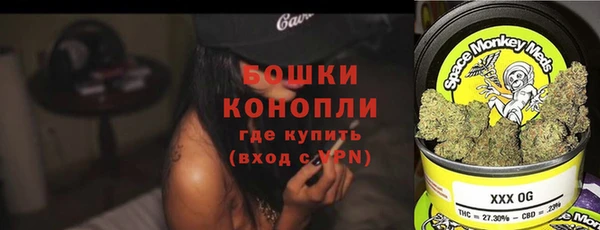 стаф Зерноград