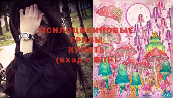 мяу мяу мука Зеленокумск