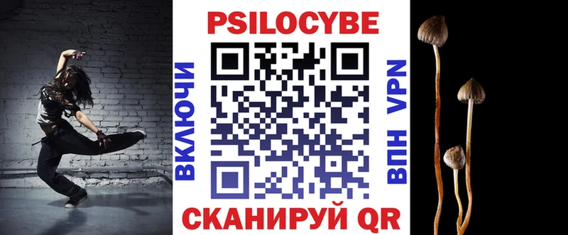 где найти   Камень-на-Оби  Галлюциногенные грибы MAGIC MUSHROOMS 